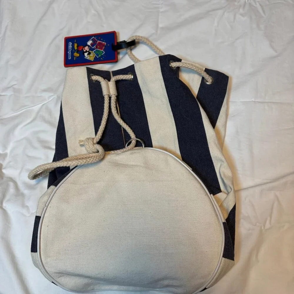 Walt Disney canvas blue